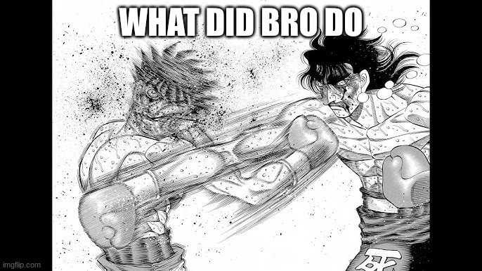 WHAT DID BRO DO | WHAT DID BRO DO | image tagged in funny memes | made w/ Imgflip meme maker