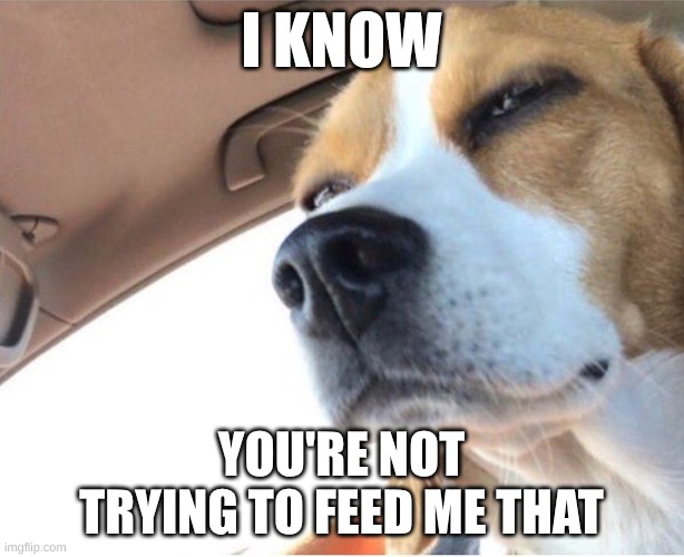 Deep Thinking Dog | I KNOW; YOU'RE NOT TRYING TO FEED ME THAT | image tagged in deep thinking dog,lies,how many other lies have i been told by the council,bad pun dog,government | made w/ Imgflip meme maker
