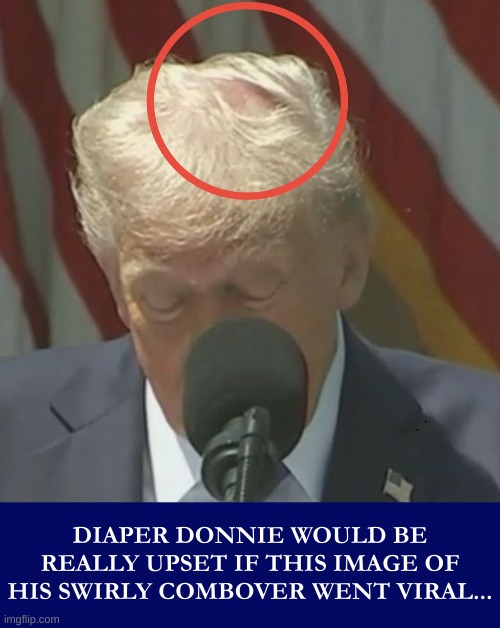Someone's Hairdresser's Going on a Trip to El Salvador... | DIAPER DONNIE WOULD BE REALLY UPSET IF THIS IMAGE OF HIS SWIRLY COMBOVER WENT VIRAL... | image tagged in trump,combover,trump combover,trump hair,donald trump hair,american idiot | made w/ Imgflip meme maker