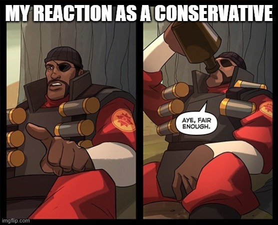MY REACTION AS A CONSERVATIVE | image tagged in aye fair enough | made w/ Imgflip meme maker