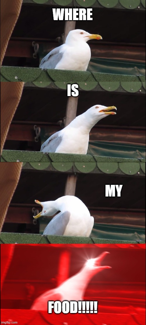 Inhaling Seagull | WHERE; IS; MY; FOOD!!!!! | image tagged in memes,inhaling seagull | made w/ Imgflip meme maker