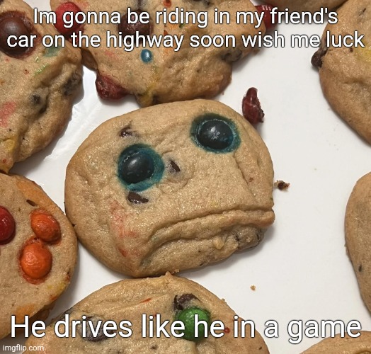 Sad cookie | Im gonna be riding in my friend's car on the highway soon wish me luck; He drives like he in a game | image tagged in sad cookie | made w/ Imgflip meme maker
