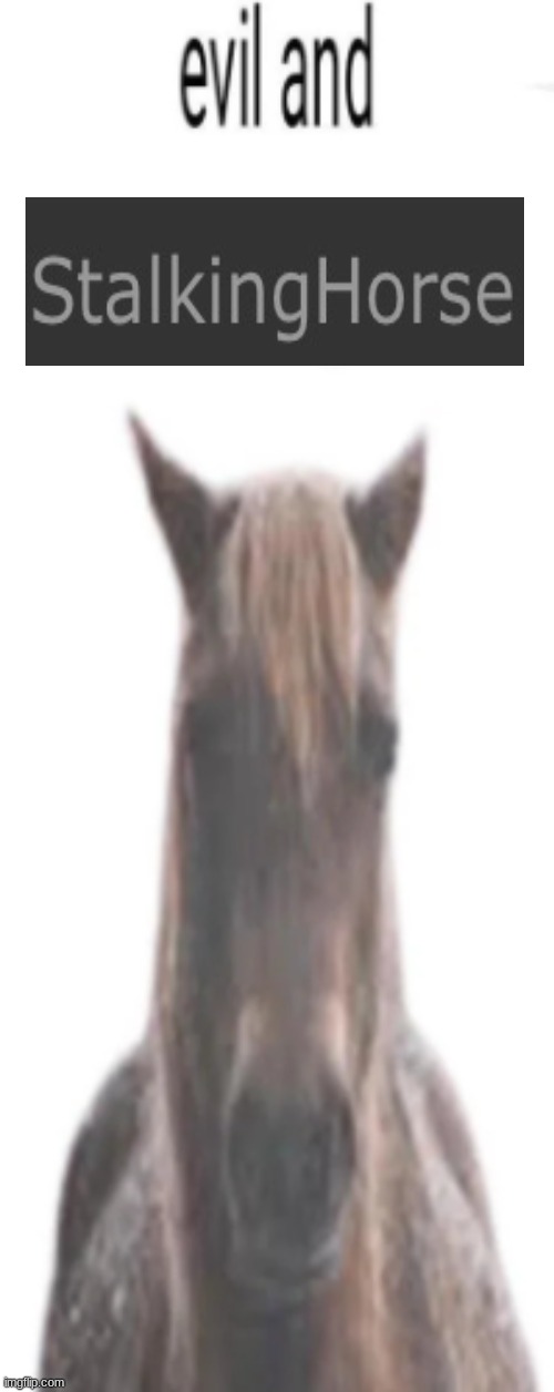 evil and intimidating horse | image tagged in evil and intimidating horse | made w/ Imgflip meme maker