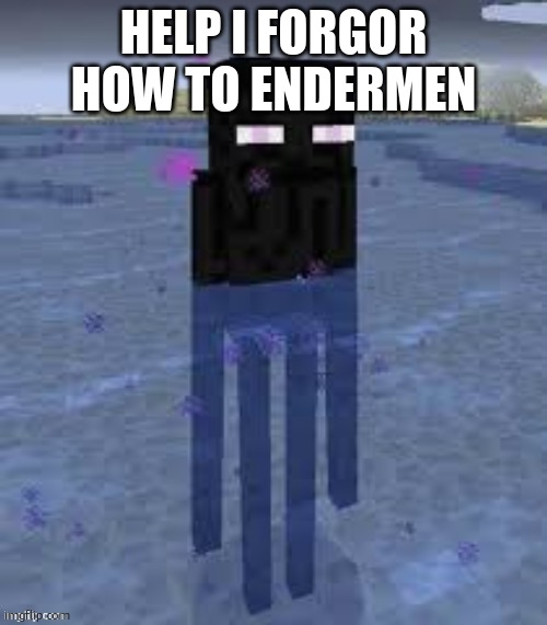 uhh, guys is this normal? | HELP I FORGOR HOW TO ENDERMEN | image tagged in cursed enderman | made w/ Imgflip meme maker