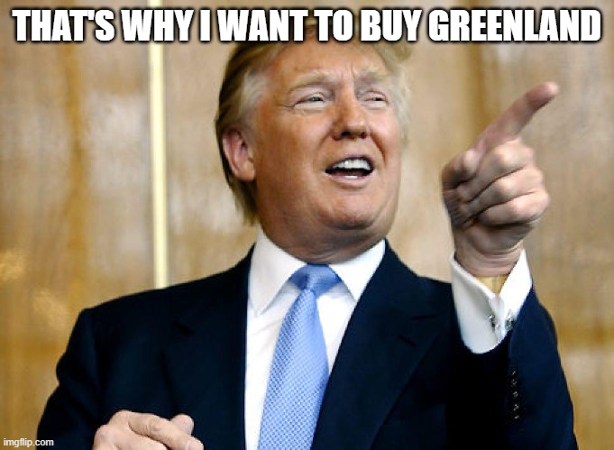 Donald Trump Pointing | THAT'S WHY I WANT TO BUY GREENLAND | image tagged in donald trump pointing | made w/ Imgflip meme maker