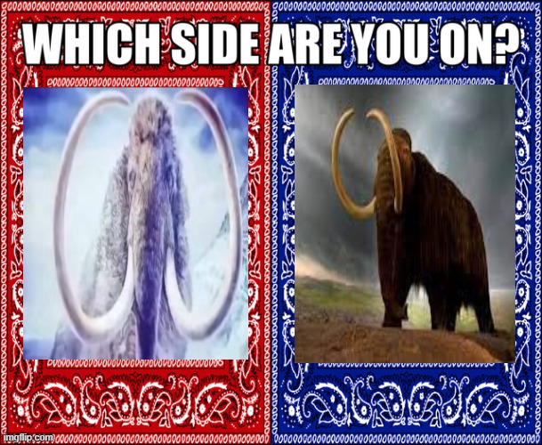 WHICH SIDE ARE YOU ON? | image tagged in which side are you on | made w/ Imgflip meme maker