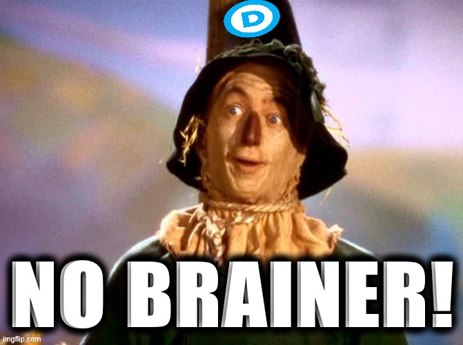 Wizard of Oz scarecrow no brainer | image tagged in wizard of oz scarecrow no brainer | made w/ Imgflip meme maker