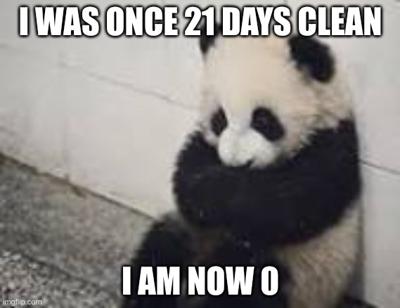 sad panda | I WAS ONCE 21 DAYS CLEAN; I AM NOW 0 | image tagged in sad panda | made w/ Imgflip meme maker