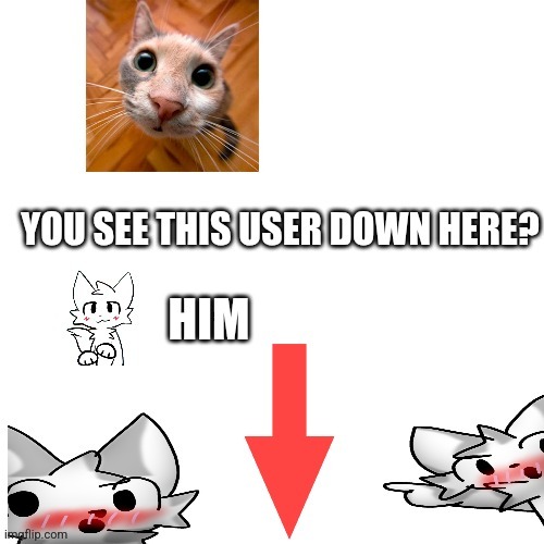 Hey hey look i exist aslo BOYKISSER MEME BELOW | image tagged in you see this user down there boykisser him | made w/ Imgflip meme maker
