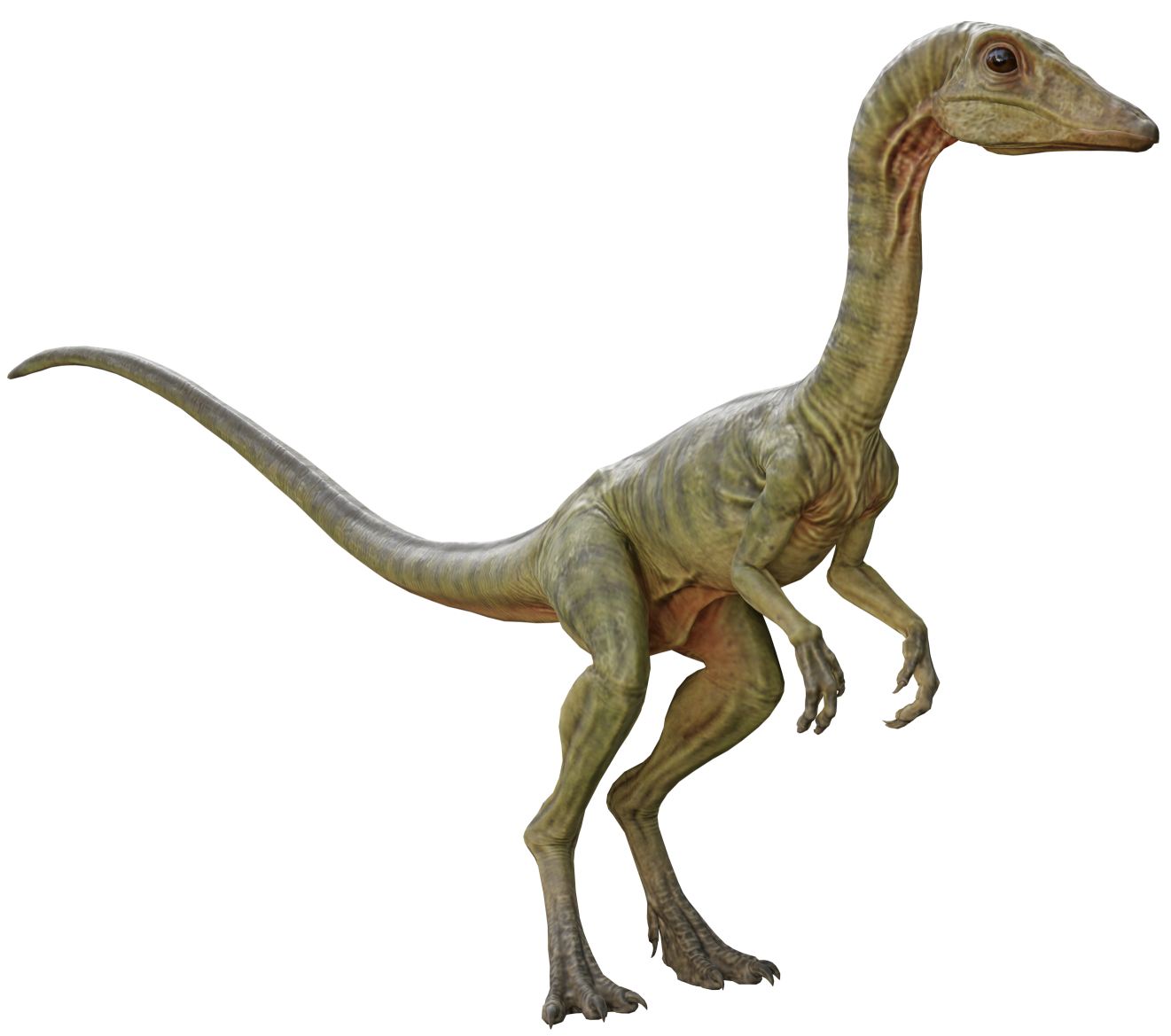 Compsognathus 9 Blank Meme Template