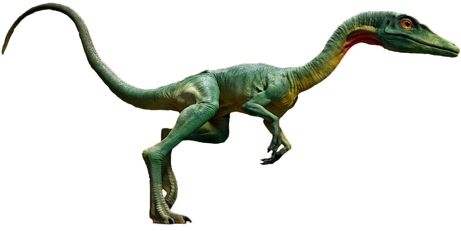Compsognathus 10 Blank Meme Template