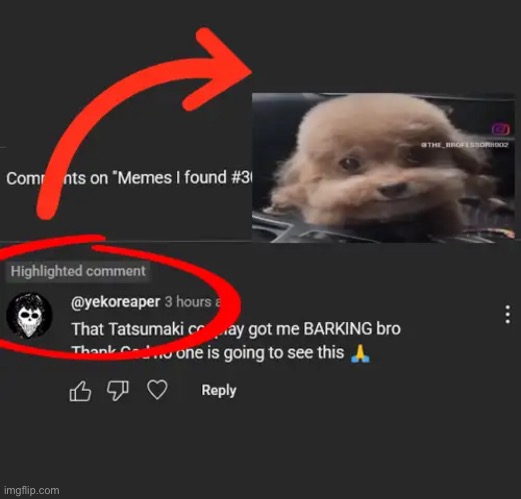 Dog | made w/ Imgflip meme maker