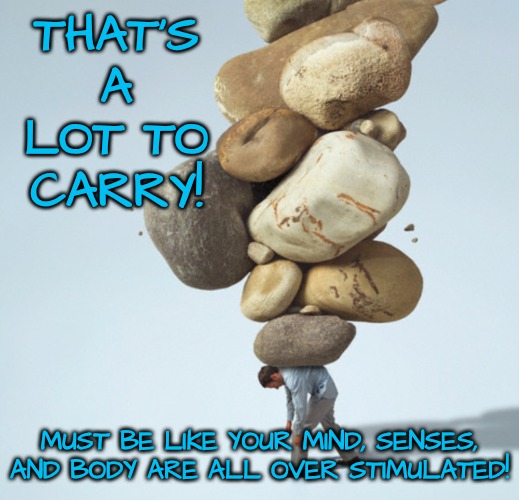 ADHD IS A HEAVY BURDEN | THAT'S A LOT TO CARRY! MUST BE LIKE YOUR MIND, SENSES, AND BODY ARE ALL OVER STIMULATED! | image tagged in load full of,adhd,suffering | made w/ Imgflip meme maker