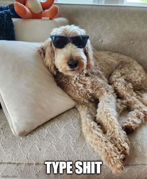 Cool | TYPE SHIT | image tagged in cool | made w/ Imgflip meme maker
