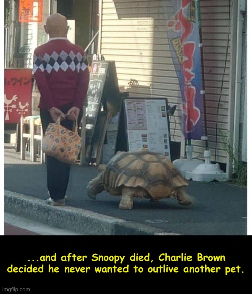 You're an Old Man, Charlie Brown | ...and after Snoopy died, Charlie Brown decided he never wanted to outlive another pet. | image tagged in charlie brown,tortoise | made w/ Imgflip meme maker