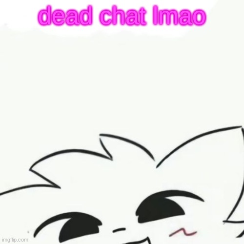 Boykisser :3 | dead chat lmao | image tagged in boykisser 3 | made w/ Imgflip meme maker