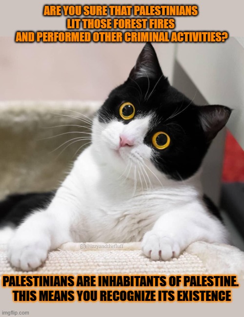 This #lolcat wonders why zionists suddenly started to recognize Palestine | ARE YOU SURE THAT PALESTINIANS 
LIT THOSE FOREST FIRES 
AND PERFORMED OTHER CRIMINAL ACTIVITIES? PALESTINIANS ARE INHABITANTS OF PALESTINE. 
THIS MEANS YOU RECOGNIZE ITS EXISTENCE | image tagged in palestine,israel,israel jews,lolcat,zionism | made w/ Imgflip meme maker