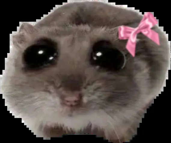 sad girl hampster Blank Meme Template