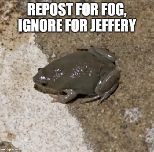 fog | image tagged in the fog is coming,fog,frog,repost,jeffrey,msmg | made w/ Imgflip meme maker