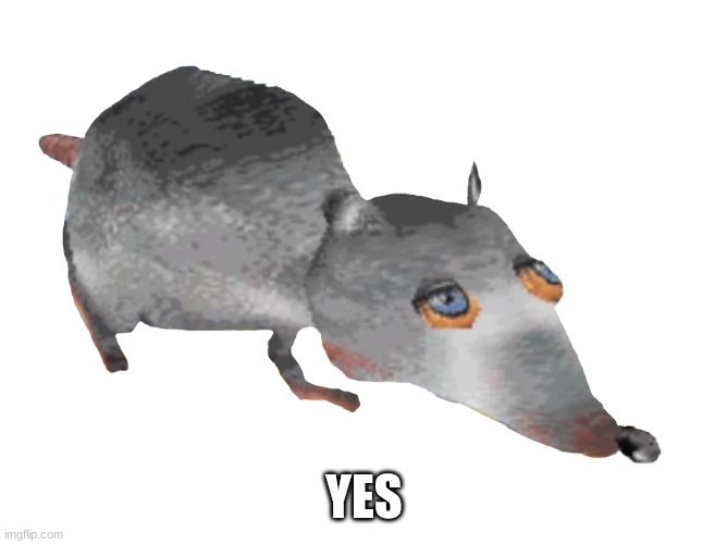 Jerma Rat | YES | image tagged in jerma rat | made w/ Imgflip meme maker