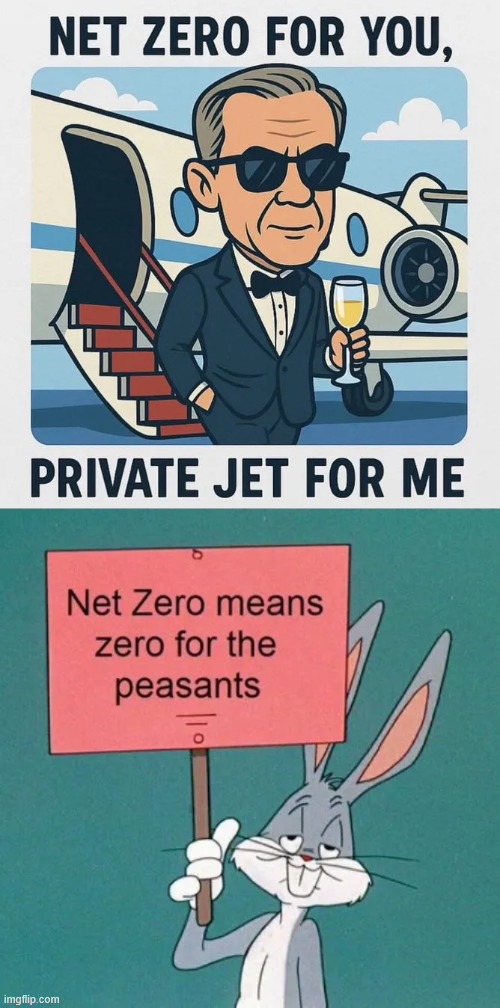 Net Zero | image tagged in net zero,wake up peasants | made w/ Imgflip meme maker
