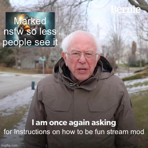 Marked nsfw so its less in people’s way but how do you become one | Marked nsfw so less people see it; for Instructions on how to be fun stream mod | image tagged in memes,bernie i am once again asking for your support | made w/ Imgflip meme maker