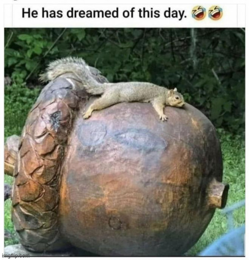 Dream big | image tagged in repost,dream big | made w/ Imgflip meme maker