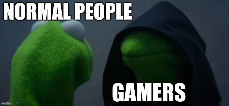 Haha | NORMAL PEOPLE; GAMERS | image tagged in memes,evil kermit | made w/ Imgflip meme maker