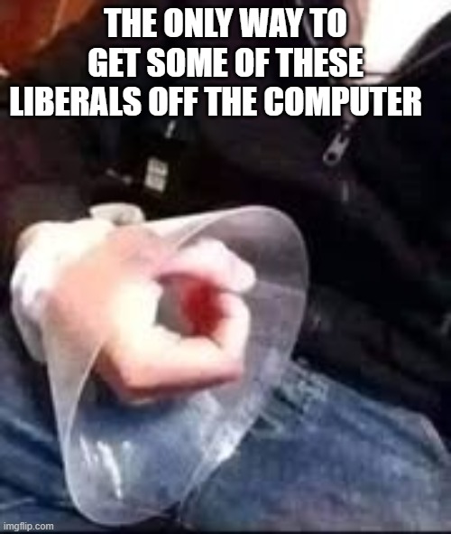 LoL this made me laugh | THE ONLY WAY TO GET SOME OF THESE LIBERALS OFF THE COMPUTER | image tagged in funny memes,true story,political humor,funny meme,stupid liberals | made w/ Imgflip meme maker