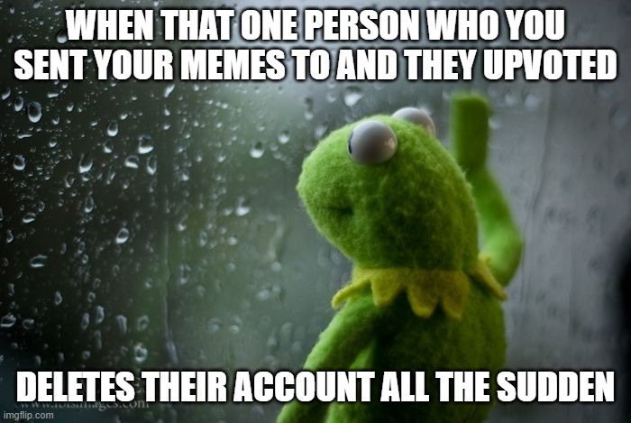 Whyy!!! | WHEN THAT ONE PERSON WHO YOU SENT YOUR MEMES TO AND THEY UPVOTED; DELETES THEIR ACCOUNT ALL THE SUDDEN | image tagged in kermit window,o | made w/ Imgflip meme maker