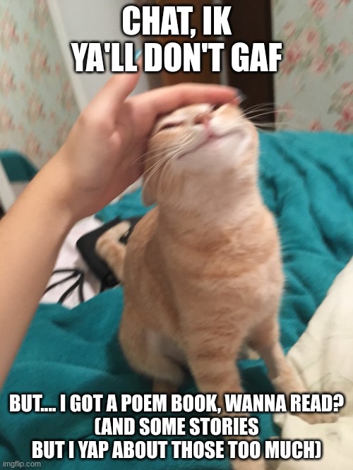 :3 Introducingggggg.... The Poem Book! | CHAT, IK YA'LL DON'T GAF; BUT.... I GOT A POEM BOOK, WANNA READ?
(AND SOME STORIES BUT I YAP ABOUT THOSE TOO MUCH) | image tagged in cat pat | made w/ Imgflip meme maker