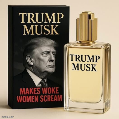 Makes woke women scream | image tagged in makes woke women scream,trump,musk,political,reposts | made w/ Imgflip meme maker