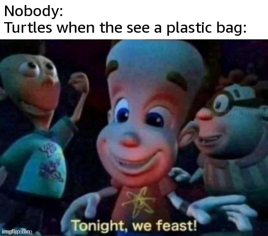 Tonight, they feast for plastic | Nobody:
Turtles when the see a plastic bag: | image tagged in tonight we feast,funny,memes,turtles,plastic,wtf | made w/ Imgflip meme maker