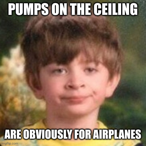 Annoyed face | PUMPS ON THE CEILING ARE OBVIOUSLY FOR AIRPLANES | image tagged in annoyed face | made w/ Imgflip meme maker