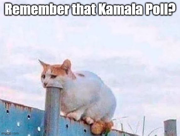 Remember that Kamala Poll? | made w/ Imgflip meme maker