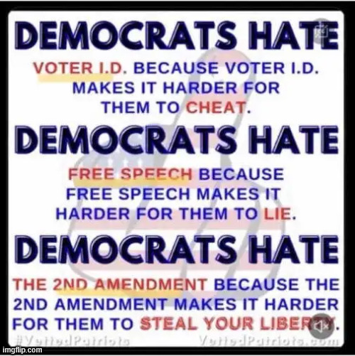 democrats hate | image tagged in political,reposts,voter id,means end to dems election cheating | made w/ Imgflip meme maker