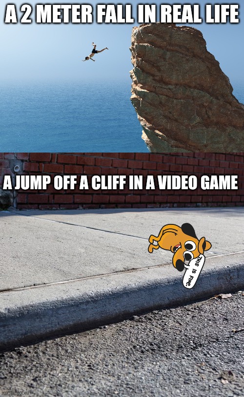 truee | A 2 METER FALL IN REAL LIFE; A JUMP OFF A CLIFF IN A VIDEO GAME | image tagged in stop reading the tags | made w/ Imgflip meme maker