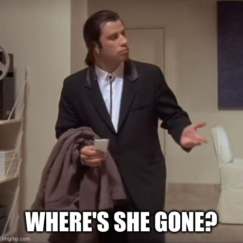Confused Travolta | WHERE'S SHE GONE? | image tagged in confused travolta | made w/ Imgflip meme maker