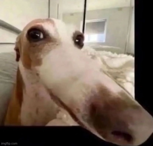 nose so big it go out the frame big ass nose | made w/ Imgflip meme maker