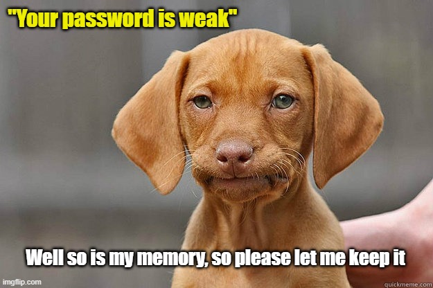 weak password | "Your password is weak"; Well so is my memory, so please let me keep it | image tagged in bored dog | made w/ Imgflip meme maker