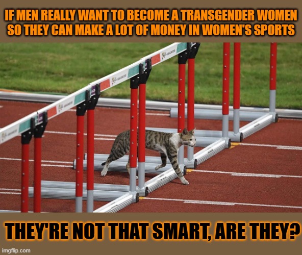 This #lolcat wonders if men really transition for the money | IF MEN REALLY WANT TO BECOME A TRANSGENDER WOMEN
SO THEY CAN MAKE A LOT OF MONEY IN WOMEN'S SPORTS; THEY'RE NOT THAT SMART, ARE THEY? | image tagged in transphobic,stupid people,lolcat | made w/ Imgflip meme maker