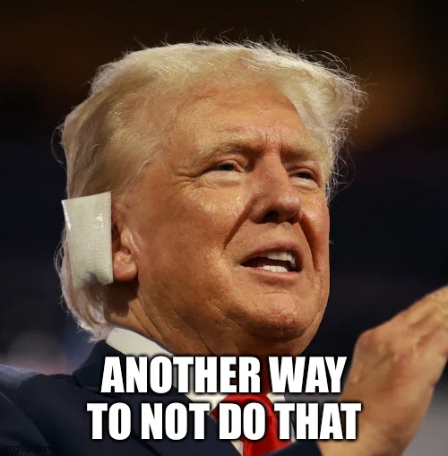 Trump With Ear Bandage | ANOTHER WAY TO NOT DO THAT | image tagged in trump with ear bandage | made w/ Imgflip meme maker