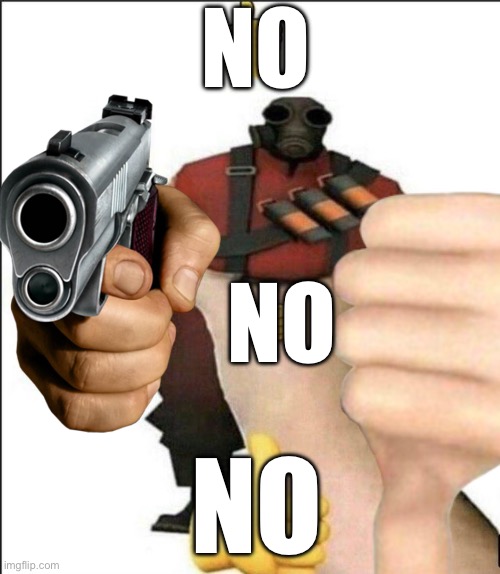 Pyro thumbs up | NO NO NO | image tagged in pyro thumbs up | made w/ Imgflip meme maker