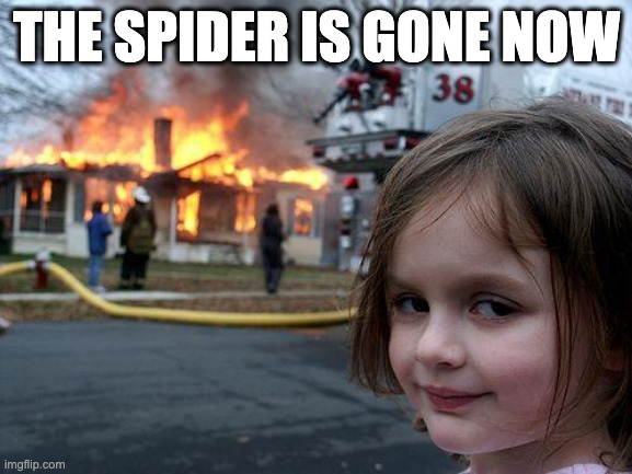 Disaster Girl Meme | THE SPIDER IS GONE NOW | image tagged in memes,disaster girl | made w/ Imgflip meme maker
