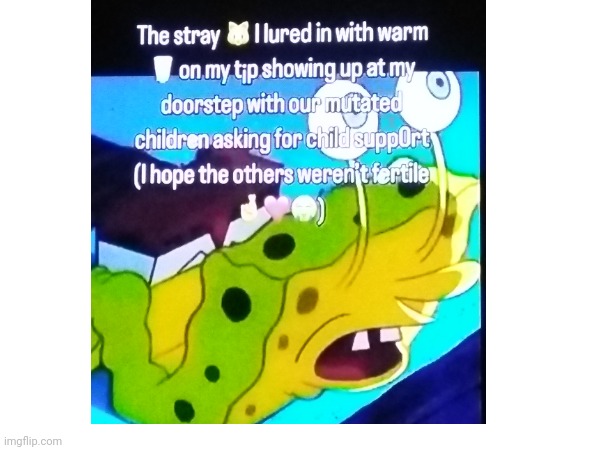 As a representative of the entirety of msmg, this is the most relatable thing we've seen and thats certified. | made w/ Imgflip meme maker