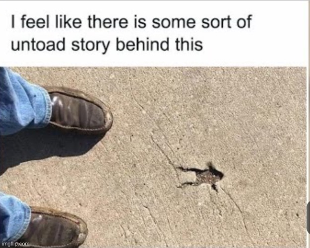 Get it? un"TOAD" HAHAhehe. Nvm | image tagged in bad pun,toad | made w/ Imgflip meme maker