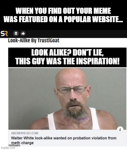 Meme Famous | WHEN YOU FIND OUT YOUR MEME WAS FEATURED ON A POPULAR WEBSITE... | image tagged in meme,repost | made w/ Imgflip meme maker