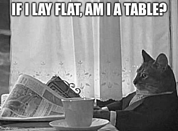 big brain | IF I LAY FLAT, AM I A TABLE? | image tagged in memes,i should buy a boat cat | made w/ Imgflip meme maker