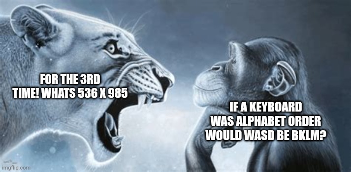 Teacher vs me | FOR THE 3RD TIME! WHATS 536 X 985; IF A KEYBOARD WAS ALPHABET ORDER WOULD WASD BE BKLM? | image tagged in tiger yell at pondering monkey | made w/ Imgflip meme maker