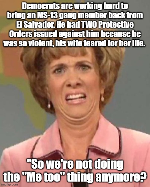 Upside-down priorities. | Democrats are working hard to bring an MS-13 gang member back from El Salvador. He had TWO Protective Orders issued against him because he was so violent, his wife feared for her life. "So we're not doing the "Me too" thing anymore? | image tagged in disgusted kristin wiig,me too,democrats | made w/ Imgflip meme maker